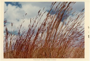 Image description is not available for PHO-4-W689-246